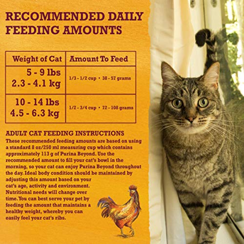 Purina Beyond Grain Free White Meat Chicken and Egg Recipe Natural Cat Food High Protein Cat Food Dry Formula - 3 lb. Bag