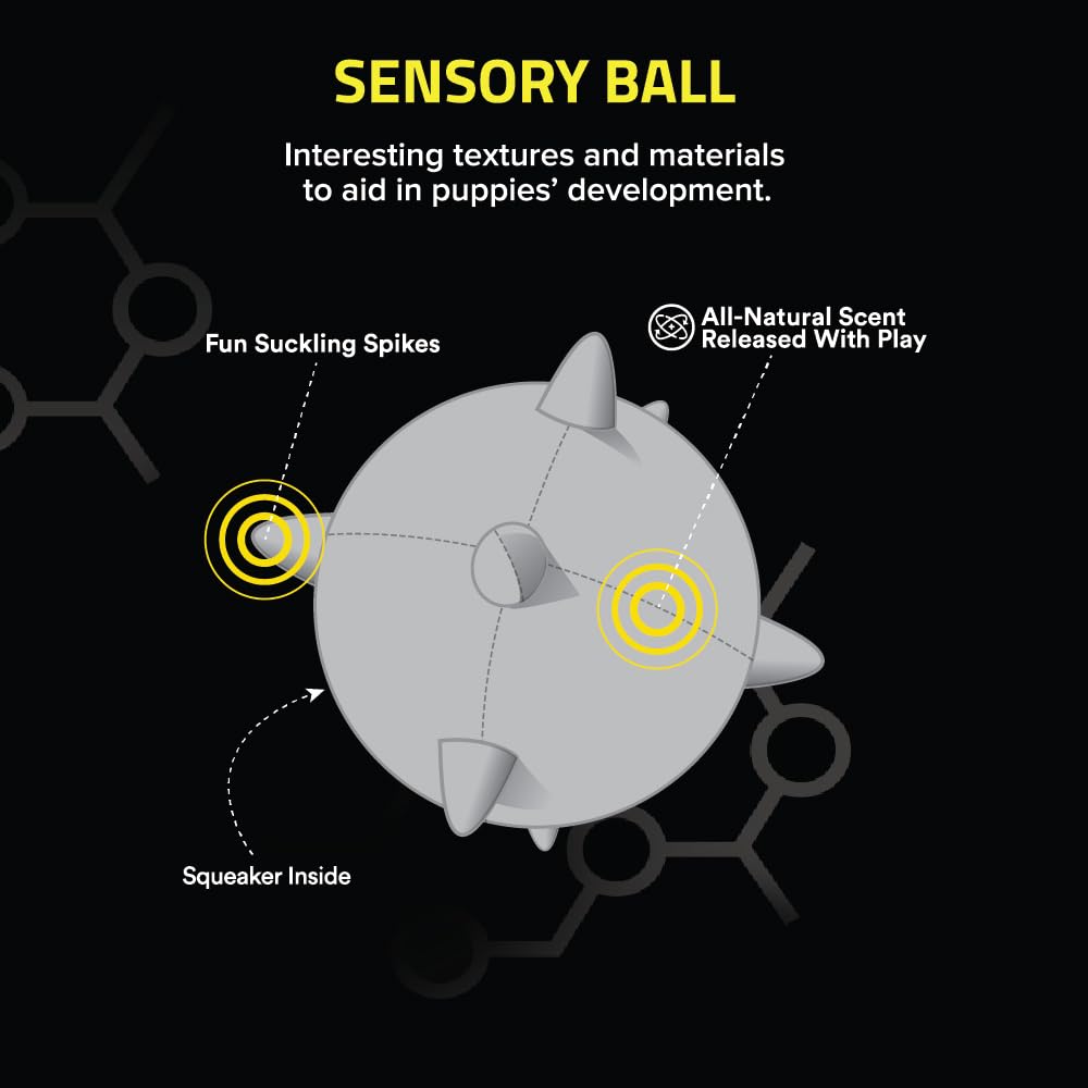 Playology Puppy Dog Ball For Sensory Development | Medium Sized Stuffed Chew Toy With Squeaker For Puppies Up To 50Lbs | Engagin