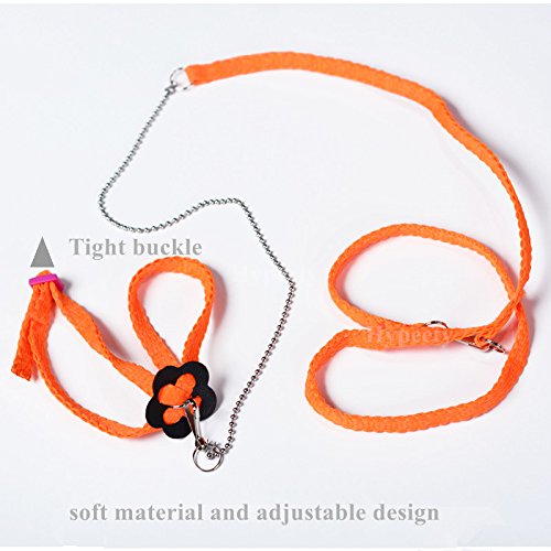 Hypeety Beauty Parrot Adjustable Bird Harness And Leash Outdoor Flying Anti-Bite For Bird Parrot African Grey Cockatoo Macaw Ringneck Parakeet Cockatiel Small Size Birds