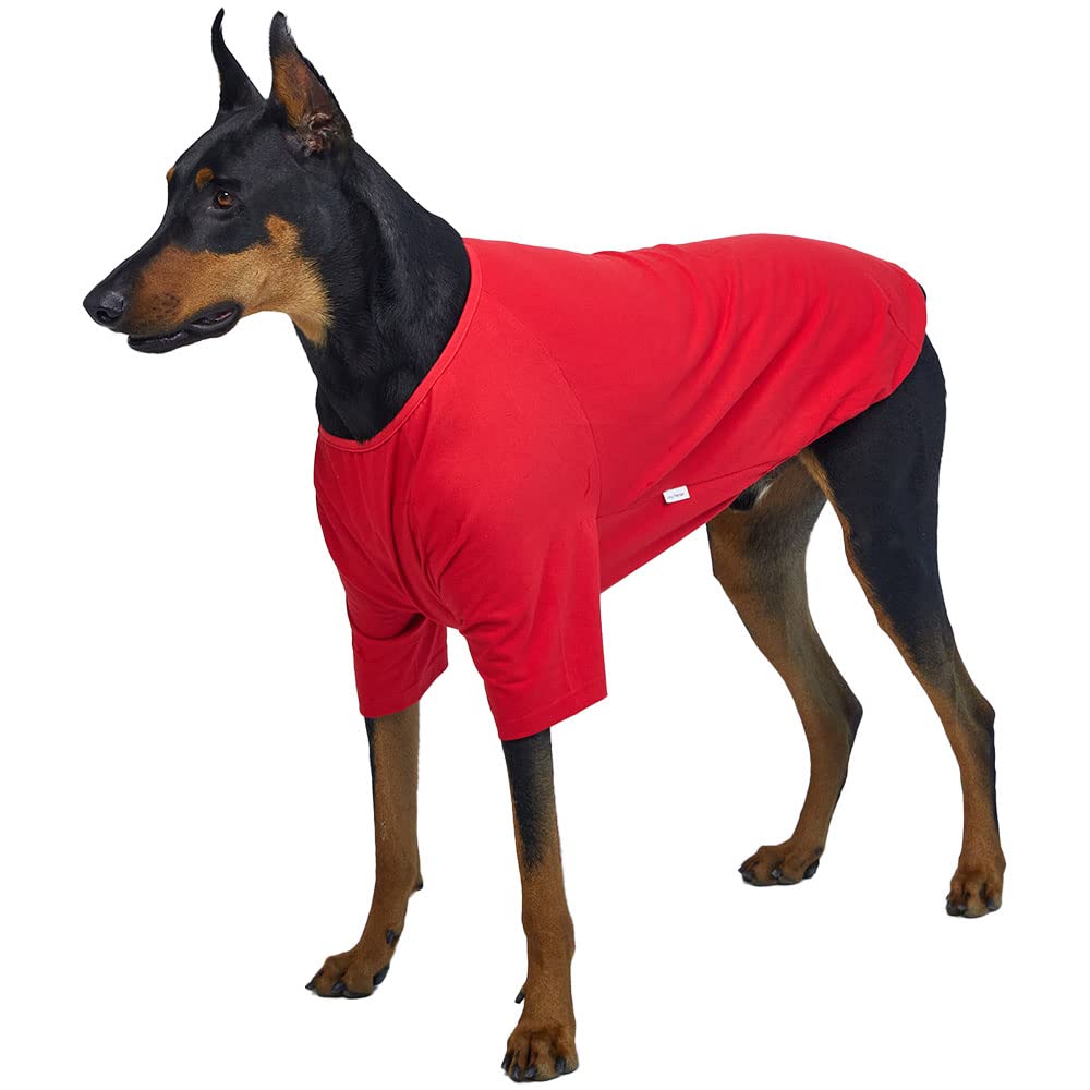 Lucky Petter Dog Shirt For Small Dogs Plain T-Shirts Soft Breathable Dog Cotton Shirt Pet Clothes (4X-Large, Red)