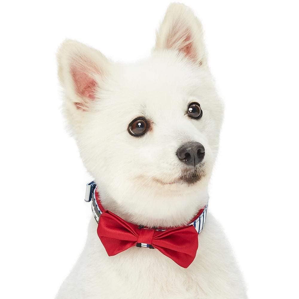 Blueberry Pet 4 Patterns Bon Voyage Sea Lover Adjustable Dog Collar In Classic Vertical Blue Stripes, Neck 17-20.5'', For Large