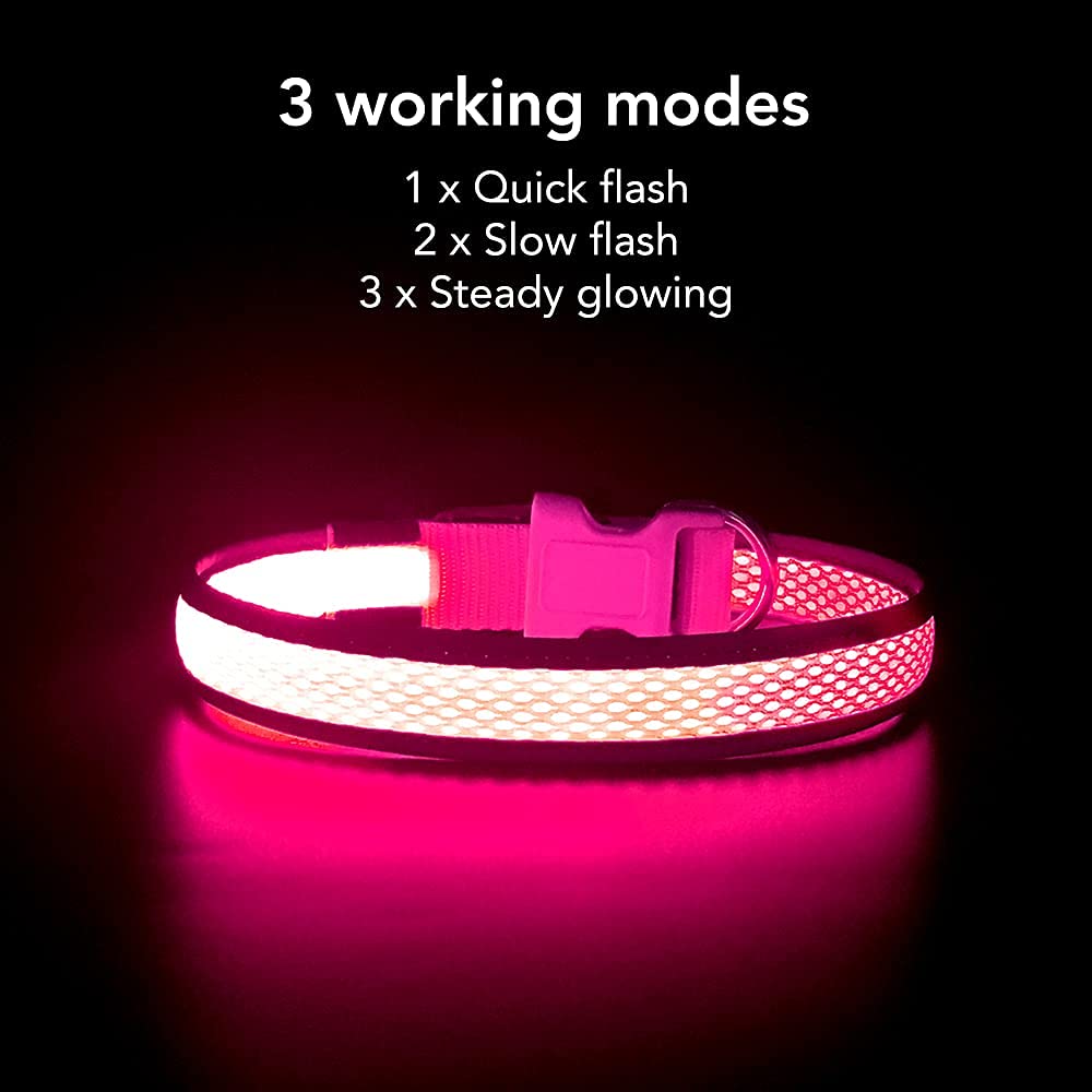 YFbrite Light up Dog Collar, USB Rechargeable LED Puppy Collar Super Bright Adjustable Glowing Dog Lights for Night Walking (Pin