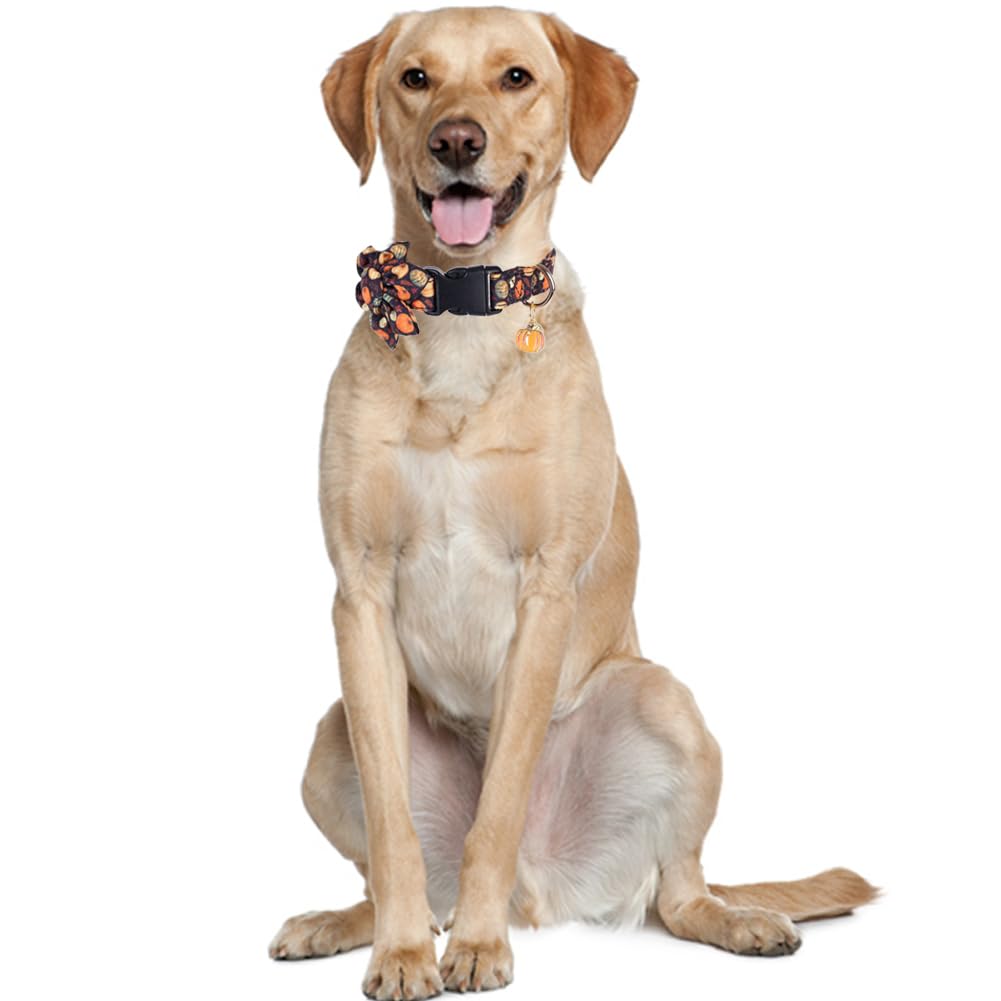 Thanksgiving Day Dog Collar Fall With Sunflower And Bell Autumn Holiday Adjustable Pet Collars For Dogs (Pumpkin,Large)