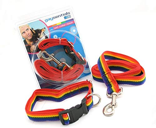 Gaysentials Pet Collar and Leash Set (Large)