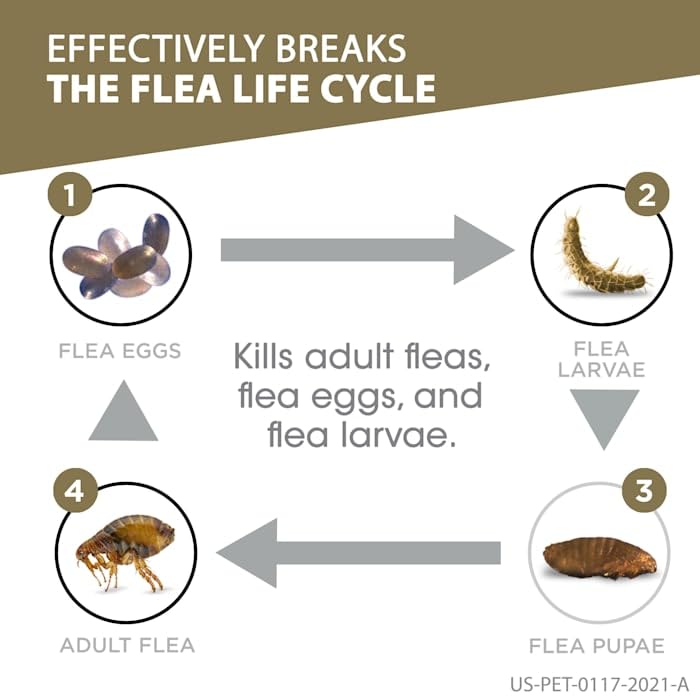 Frontline Gold Flea & Tick Treatment For Large Dogs Up To 45 To 88 Lbs., Pack Of 3