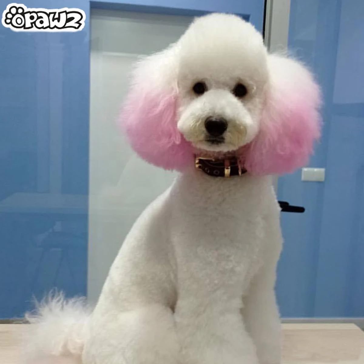 Opawz Pet Hair Chalk, Temporary Dog Hair Dye, Washable Pet Hair Dye, Pet Safe Dye For Creative Grooming (Pink)