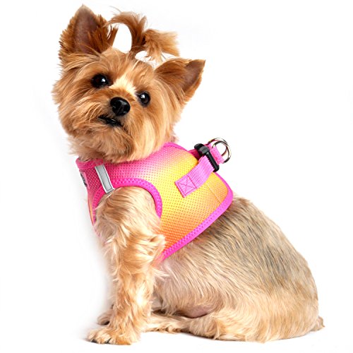 Doggie Design Dog Harness - No Choke Dog Harness, Dog Vest, Mesh Polyester, Pet Harness, Simple Step in and Go Design, Harness for Dog - Raspberry Pink and Orange - M