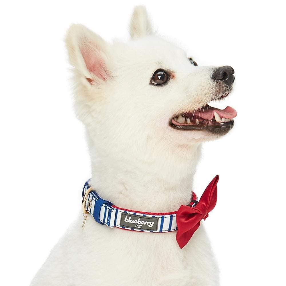 Blueberry Pet 4 Patterns Bon Voyage Sea Lover Adjustable Dog Collar In Classic Vertical Blue Stripes, Neck 17-20.5'', For Large
