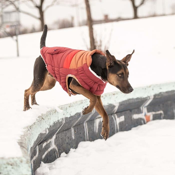 Elasto-Fit Classic Puffer Dog Jacket - Quilted Winter Pet Coat With Adjustable Straps, Waterproof Insulated Dog Outerwear For Small Medium Large Dogs, Easy On Off Design - Dark Red, X-Large