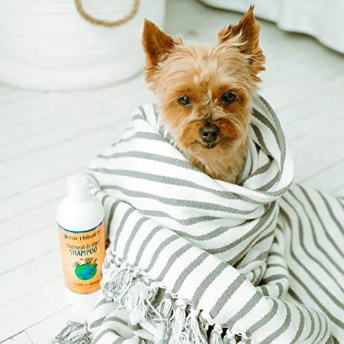 Earthbath, Mango Tango 2-In-1 Conditioning Shampoo - Cruelty Free Dog Shampoo And Conditioner, Made In Usa, Gentle Dog Conditioner, Best Puppy Shampoo & Puppy Supplies, Safe Dog Wash - 16 Oz (2 Pack)