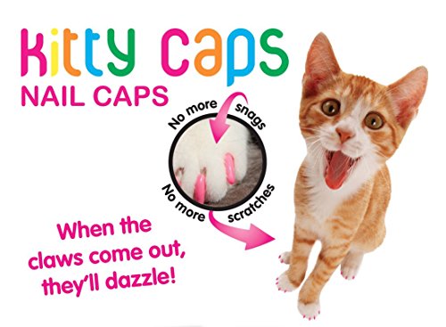 Kitty Caps Nail Caps for Cats  Safe, Stylish & Humane Alternative to Declawing  Stops Snags and Scratches, Large (13 lbs or grea