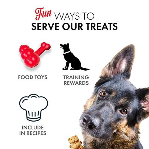 Grandma Lucy's Organic Oven Baked Dog Treats - Apple Flavor, 14 oz, Healthy Snack for Dogs