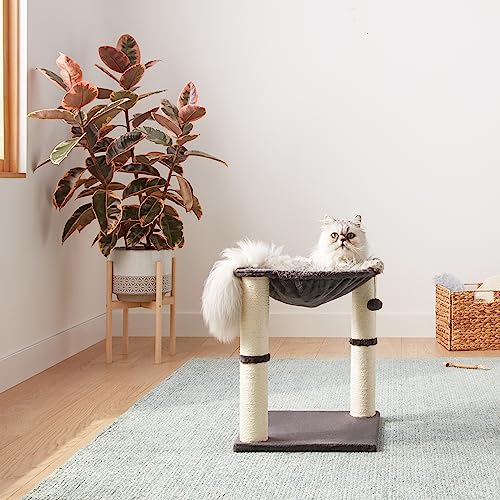 Amazon Basics Cat Tower - Indoor Cat & Kittens Hammock Tower With Scratching Posts And Dangling Ball, (19.7'H) - Gray