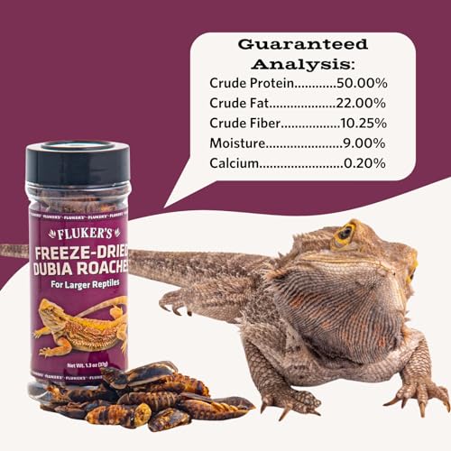 Flukers Freeze Dried Dubia Roaches for Reptiles