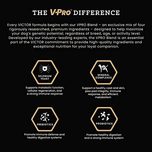 Victor Super Premium Dog Food - Grain Free Active Dog & Puppy - Dry Dog Food with 33% Protein, Gluten Free - for High Energy Dog