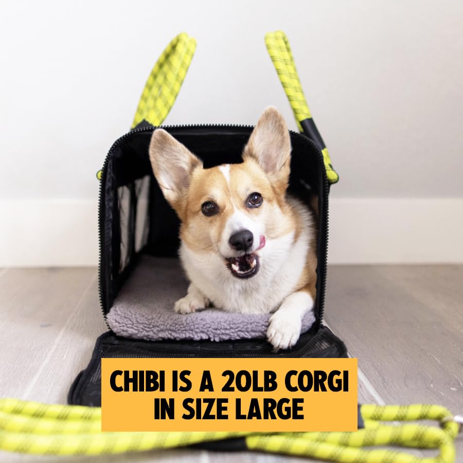 ROVERLUND Airline-Compliant Pet Carrier | Includes Leash | Suitable for Pets up to 20lbs