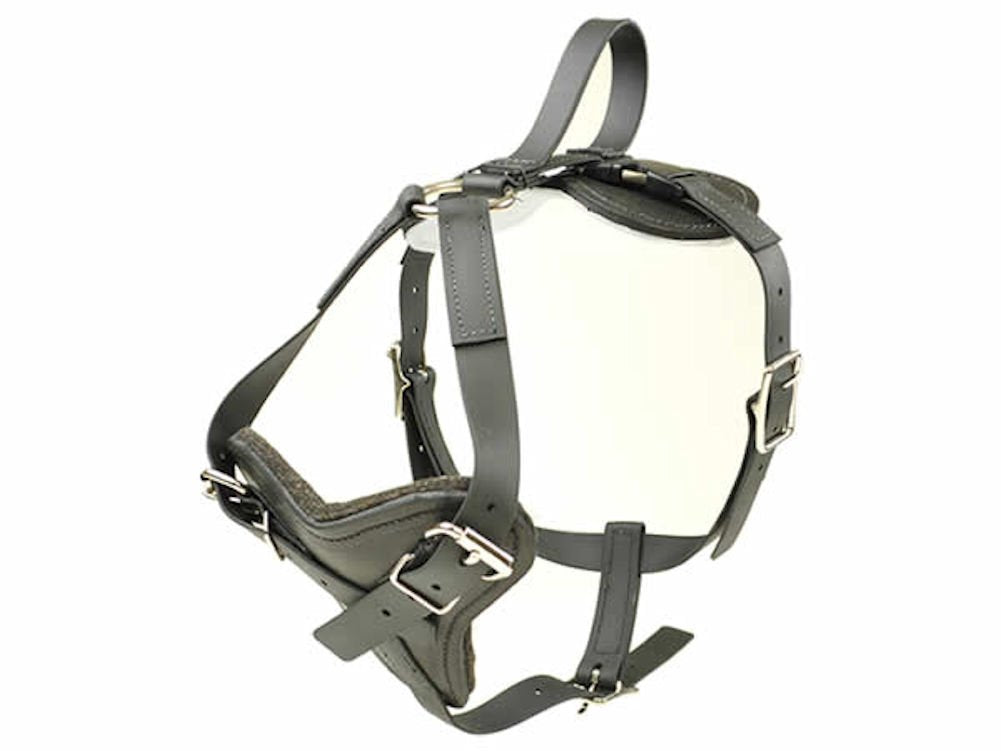 Biothane All Weather Dog Harness With Quick Release (X-Large)