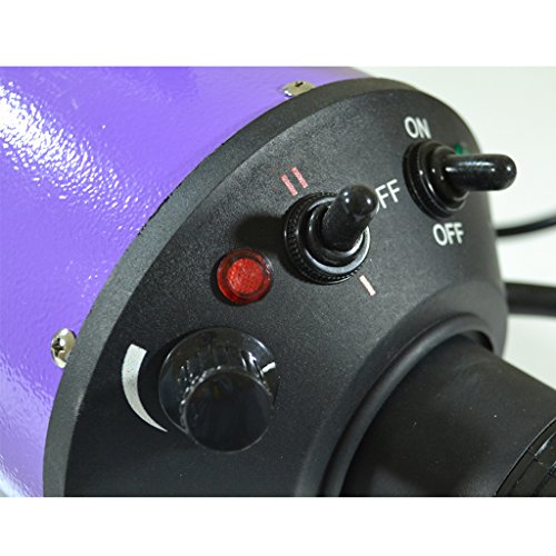 Flying Pig High Velocity Dog Pet Grooming Dryer W/Heater (Model: Flying One, Purple)