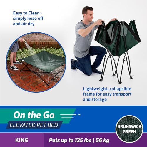 Coolaroo On The Go Pet Bed - Brunswick Green - Xl (41'' X 41'')