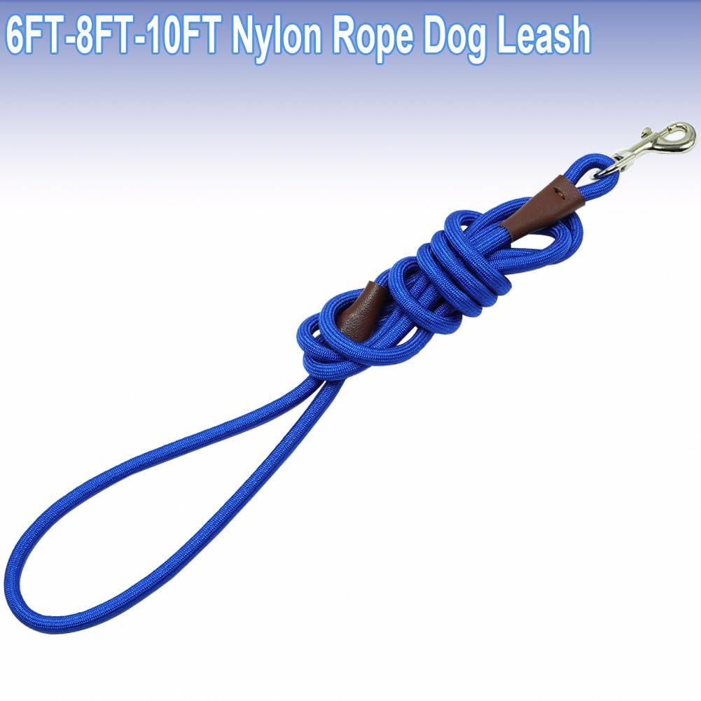 Sepxufore Small Dog Leash, 1/4'' By 6/8/10 Ft Lightweight Strong Nylon Rope Leash, Bright Classic Lead For Small Pets/Puppy/Cat