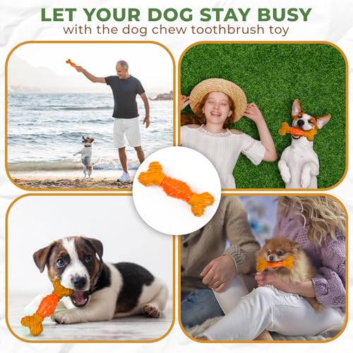 Spot Bam-Bones Dental Bone - Made With Bamboo Fiber And A Massaging Rubber Center, Durable Oral Care Dog Chew For Light Chewers & Teething Puppies Under 40Lbs, 7In, Allergen Free Peanut Butter Flavor