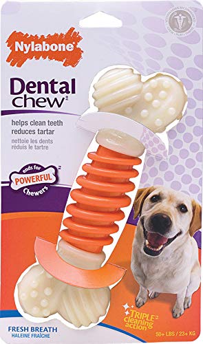 Nylabone Dental Pro Action Chew Bacon Large