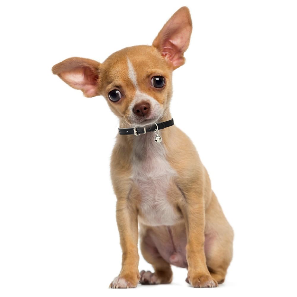 Black Xxs Dog Collar With Bell,Cat Collar With Bell,Soft Pu Leather Extra Small Dog Collar Adjustable Buckle For Extra Small Med