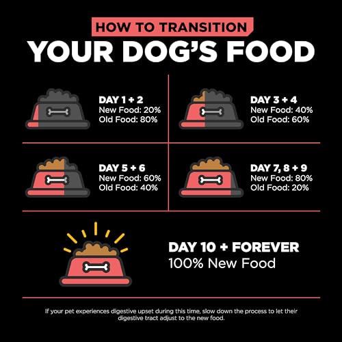 Go! Solutions Carnivore, Grain-Free, Protein Rich Dry Dog Food, Salmon and Cod Recipe, 12 lb Bag