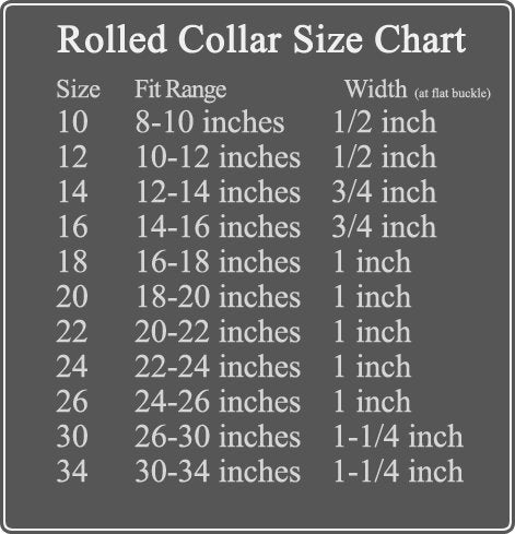 Auburn Leathercrafters Rolled Dog Collar - Royal Blue - 22