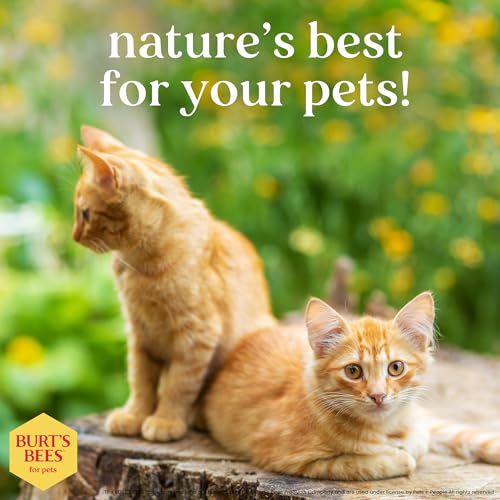 Burt's Bees for Pets Hypoallergenic Cat Shampoo with Shea Butter & Honey, 10 oz - Gentle Formula for Itchy Skin, 99.7% Natural Origin