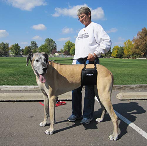 GingerLead Dog Sling Hip Support Harness for Tall Female Dogs, Nylon, Black/Tan, Model GL-TF