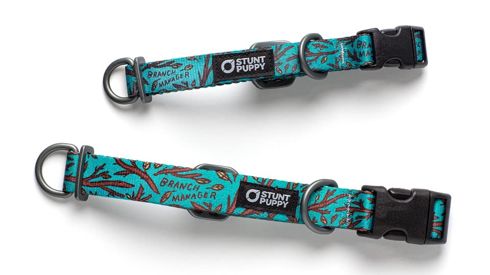 Stunt Puppy, Jill Kittock Artist Series Everyday Collar, Branch Manager, Regular