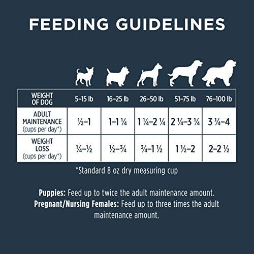 Instinct Raw Boost Grain Free Recipe with Real Chicken Natural Dry Dog Food, 10 lb. Bag