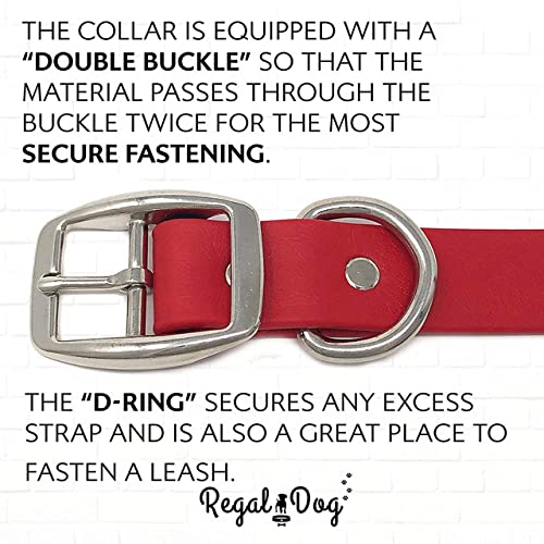 Regal Dog Products Large Red Waterproof Dog Collar With Heavy Duty Double Buckle & D Ring | Vinyl Coated, Custom Fit, Adjustable Pet Collars | Comes In Other Sizes For Puppy, Small And Medium Dogs