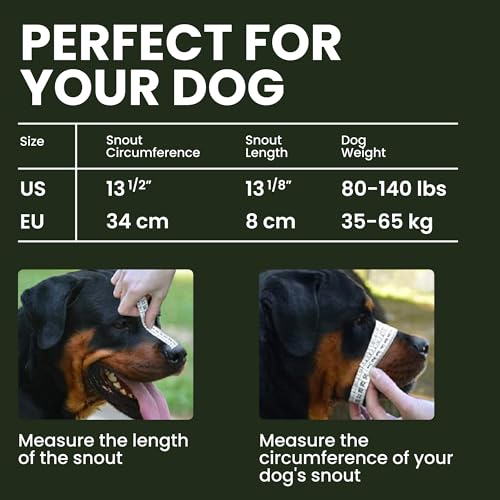 Bronzedog Dog Muzzle Adjustable Durable Metal Wire Basket For Large And Extra Large Dogs With Leather Straps Breathable, Drinkable, Training, Prevents Biting (Stainless Steel, Rottweiler)