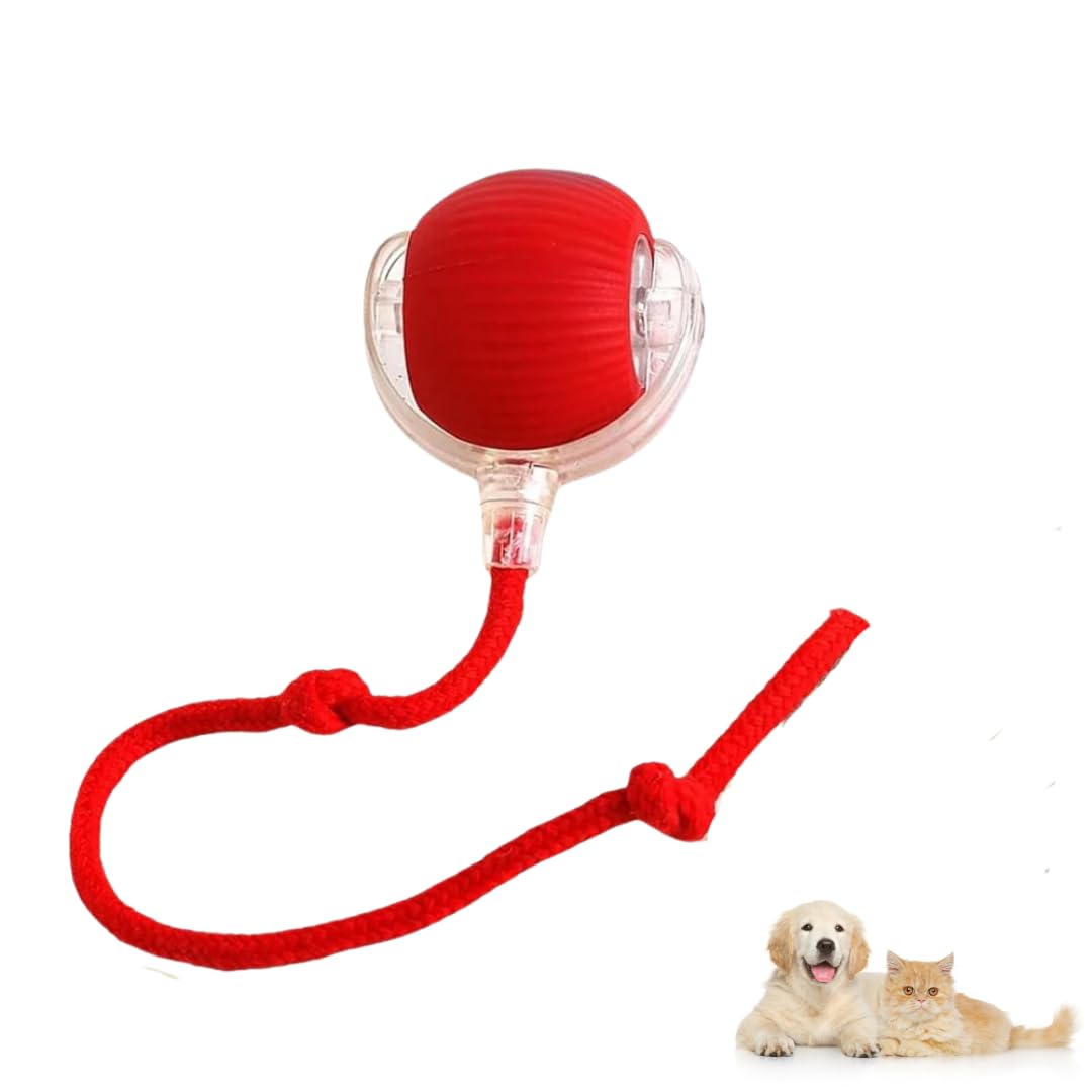 Healing Leaf Cat Toy Ball | Rechargeable Rotating Balls With Led Light | Interactive Smart 360 Automatic Ball | Silicone Chase W