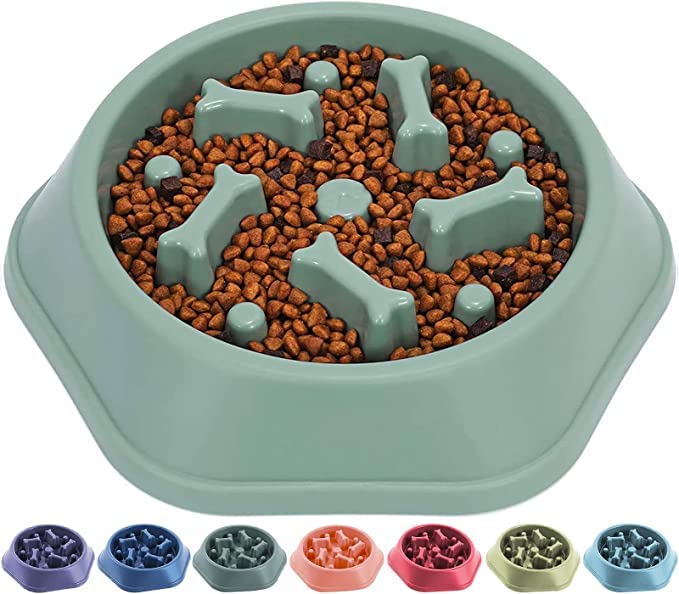 Pups&Pets Slow Feeding Pet Bowl, No Choking Round Feeder Bowl With Bone Pattern Interactive Treat Bowl For Dogs (Green)