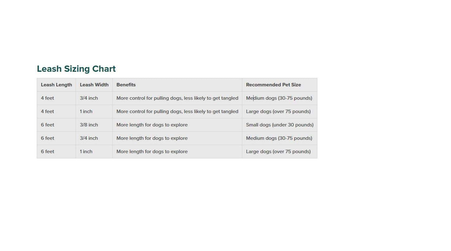 Petsafe Nylon Dog Leash – Strong, Durable, Traditional Style Leash With Easy To Use Bolt Snap For Small, Medium And Large Dogs – 3/8' X 6', Black