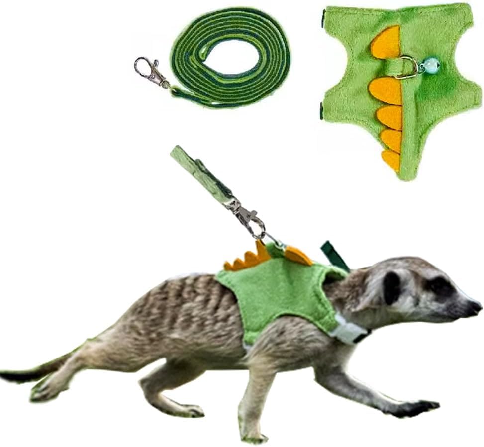 Mqqylbhds Ferret Harness And Leash Set Small Animals Vest Harness With Safe Bell Dinosaur Shaped Walking Clothes For Baby Rabbit