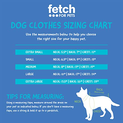 Warner Bros The It Movie You'Ll Flat Too Tee For Dogs, Medium | It The Movie Dog T-Shirt | Soft, Cute, And Comfortable Dog Clothing And Apparel, Black