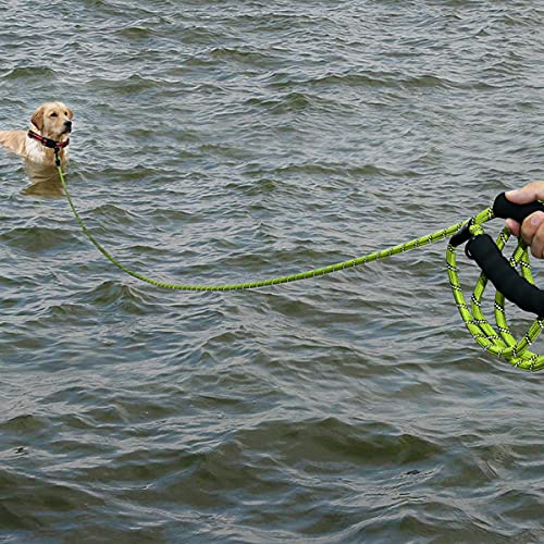 Plutus Pet Long Rope Dog Leash, With Comfortable Padded Handle, Reflective Nylon Heavy Duty Rope Leash, 15Ft 20Ft 30Ft 50Ft 66Ft Dog Training Leash For Small Medium Large Dogs (50Ft, Green)