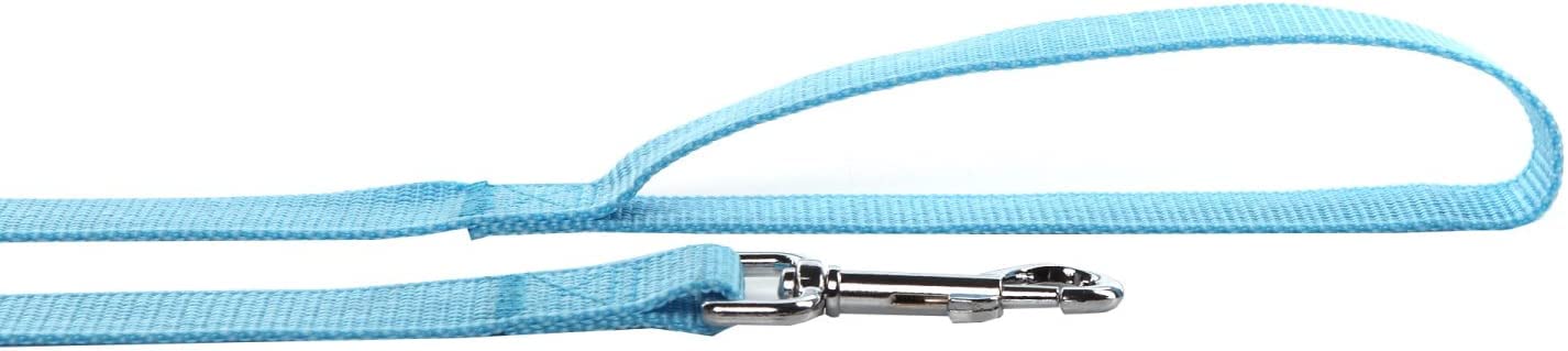 Nylon Dog Leash 4 Ft 5 Feet 6 Foot Long, Walking Training Dog Leashes For Medium Large Dogs, 1 Inch Wide (3/4'' X 6 Ft, Blue)