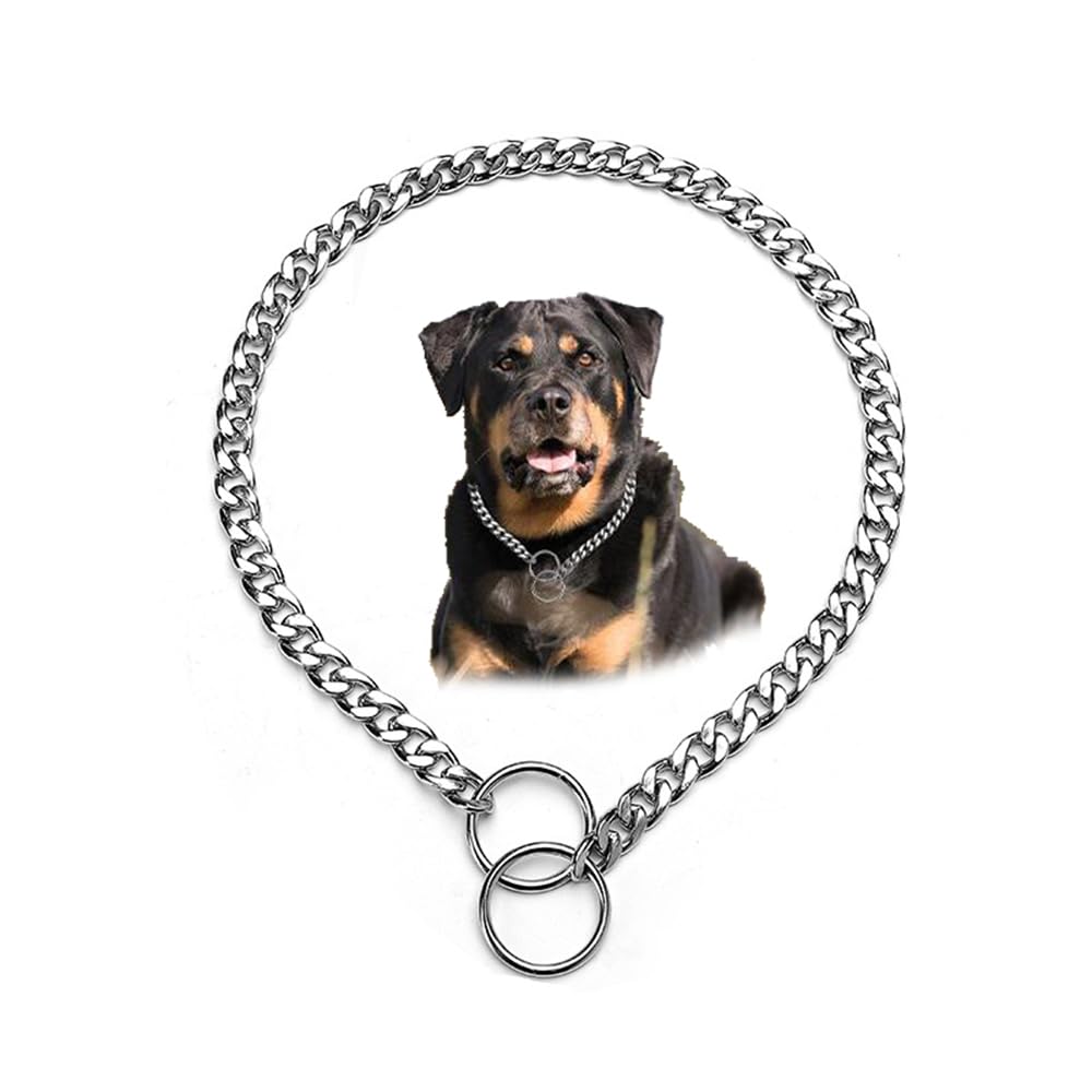 Silver Chain For Dogs,Heavy Metal Training Slip P Link Puppy Martingale Collars For Xxs Xs Small Medium Large Xl Breed Dogs, L