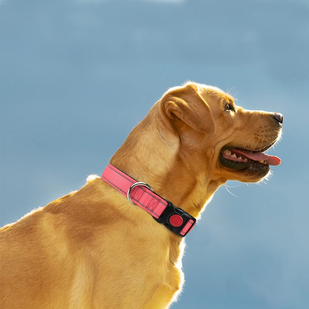 Taglory Reflective Dog Collar With Safety Locking Buckle, Adjustable Nylon Pet Collars For Extra Large Dogs Female Male, Baby Pi