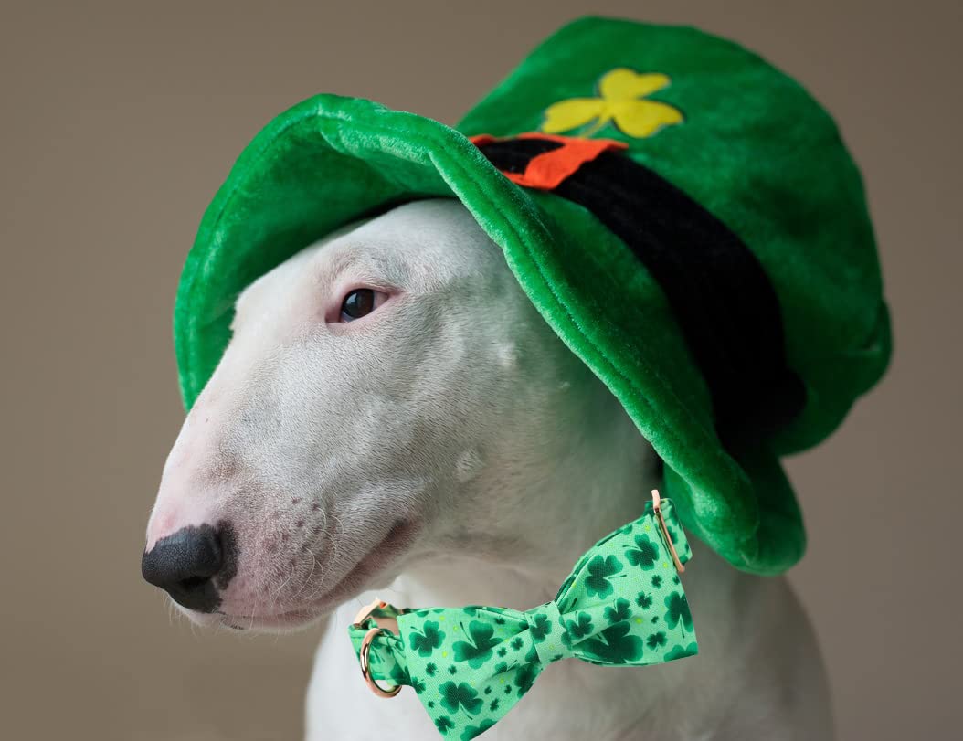 Lionheart Glory Clover Dog Collar, Adjustable Dog Collar With Bowtie, Pet Gift Collar For Dog Soft Bowtie Dog Collars For X-Smal