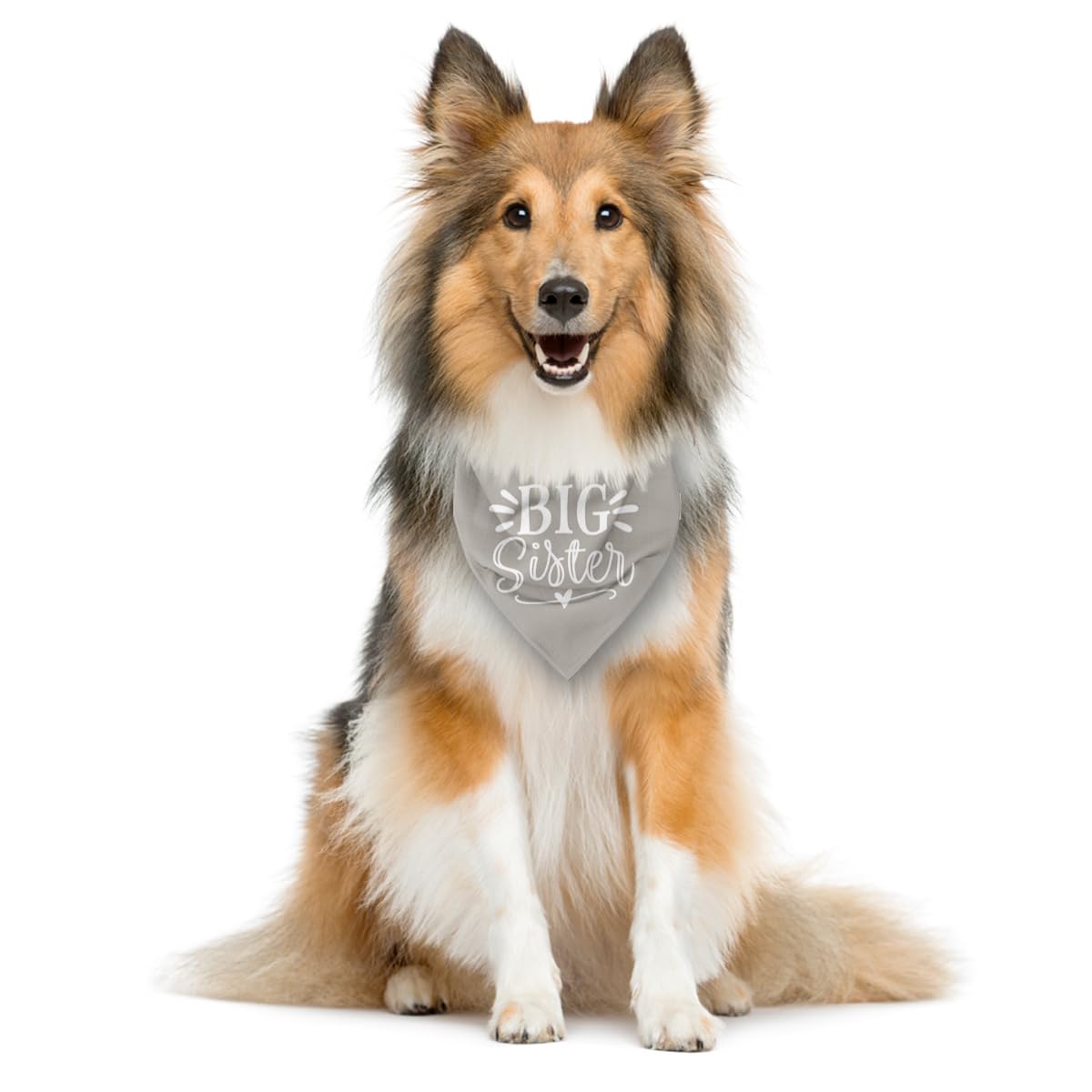 Big Sister Dog Bandana, Light Gray Dog Bandana, Pet Scarf Accessories, Pet Dogs Triangle Scarf, Pet Bandanas For Small Medium Do