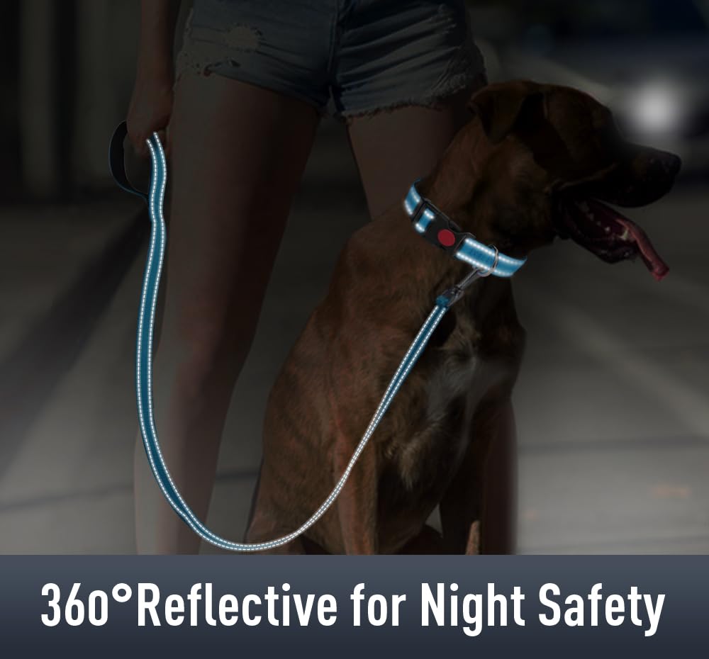 Erbine Airtag Dog Collar With Airtag Holder For Small Dogs, Reflective, Soft Padded & Safety Locking Buckle, Nylon Pet Collars A