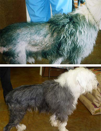 Davis TheraCoat for Pets