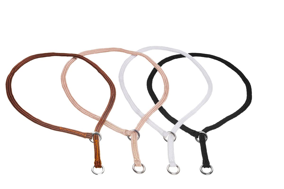 Alvalley Show Slip Collar For Dogs - Flat Braided Nylon Conformation With Chrome Plated Rings - Designer For Shows And No-Pull T