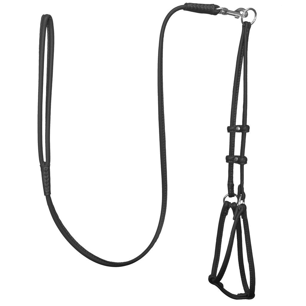 Dogline Soft Round/Rolled Genuine Leather Step-In Harness With 15 To 20-Inch Chest And 3-Foot Leash, Black